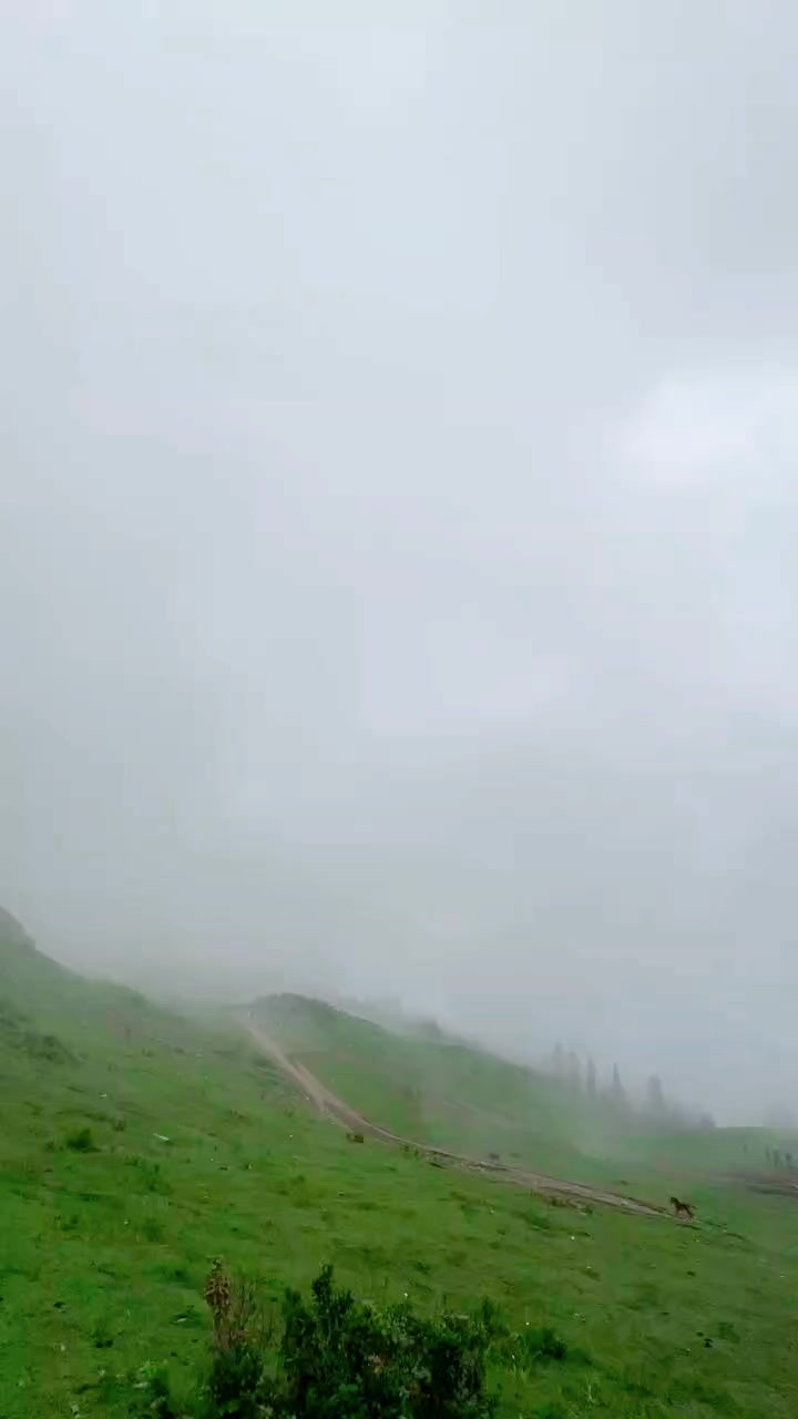 @👑برلاس👑