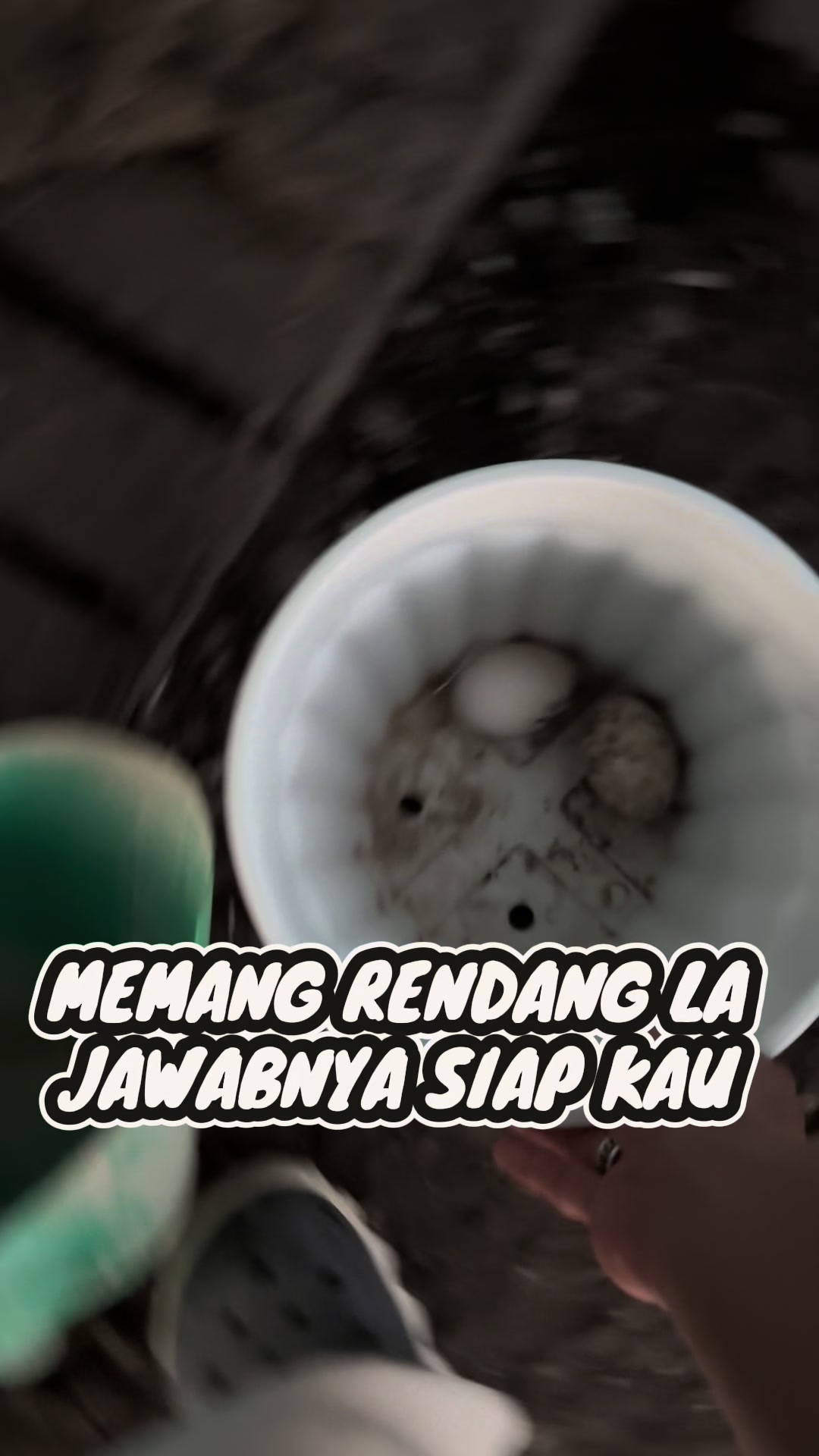 @Bio Sea Agriculture