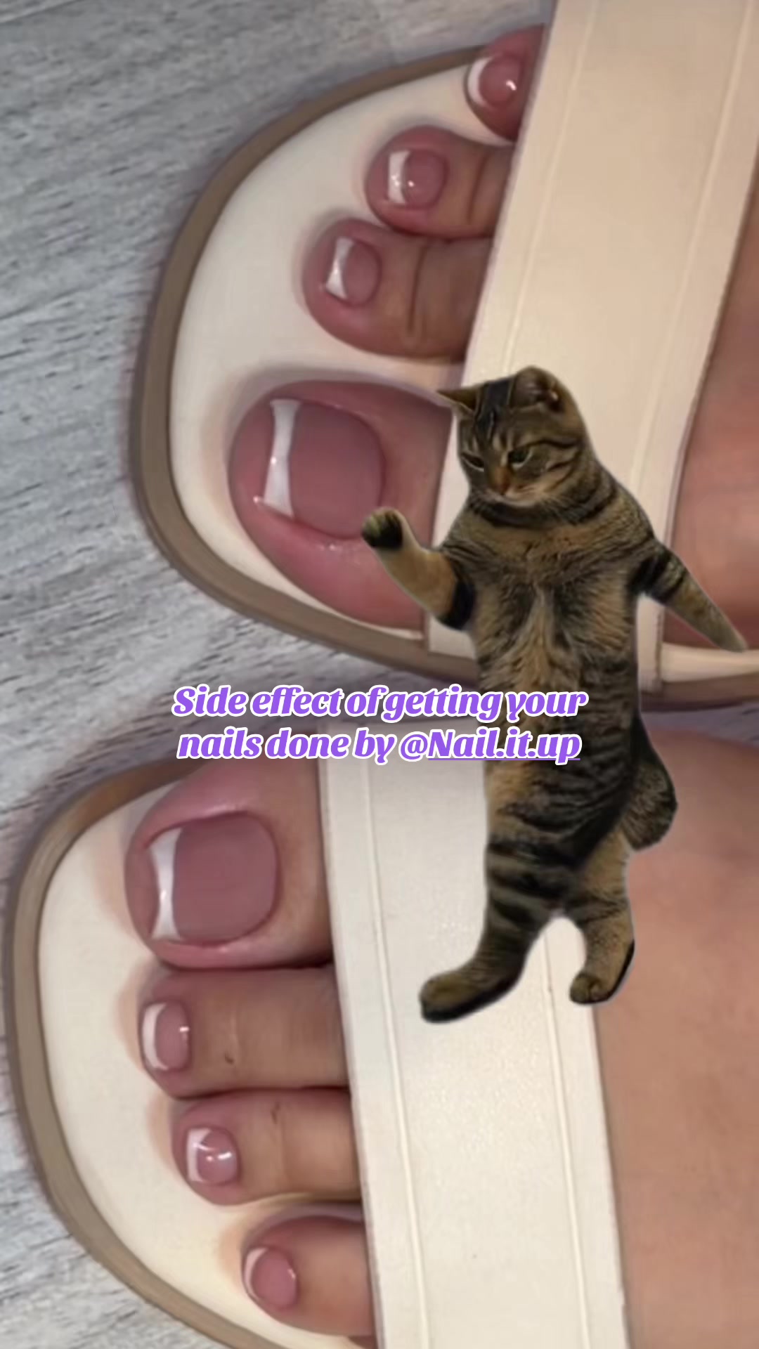 @nail.itt.up__