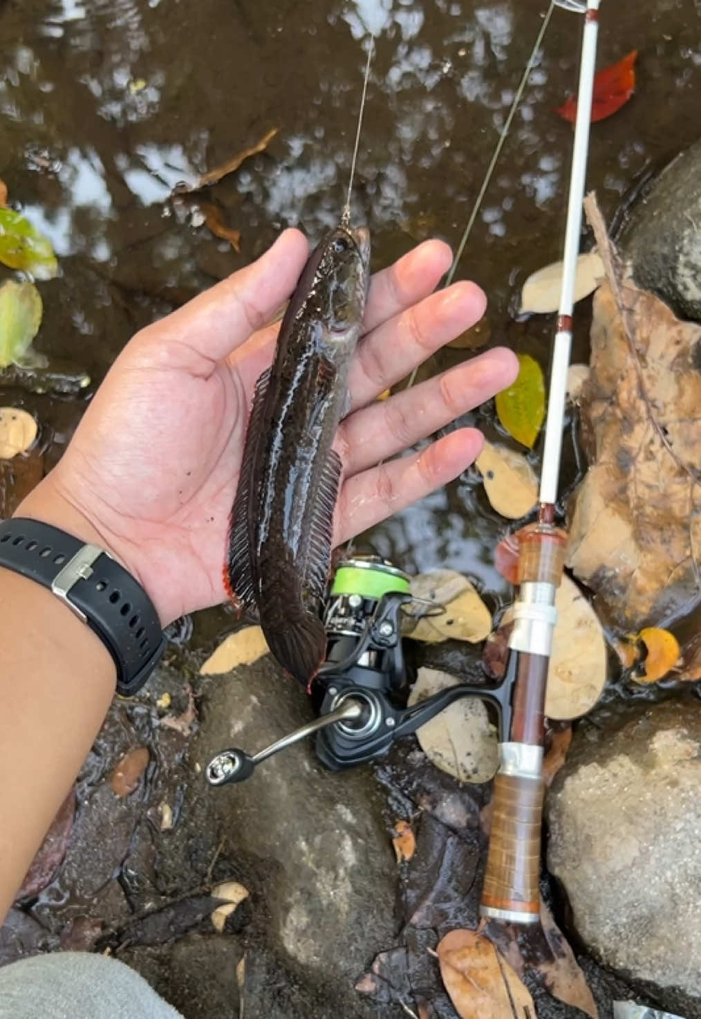 @Andalan Mancing
