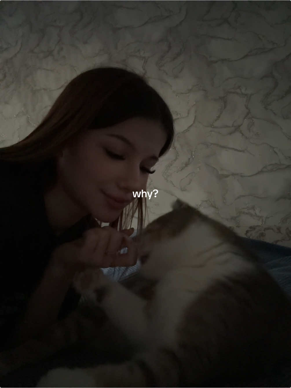 @shrnv