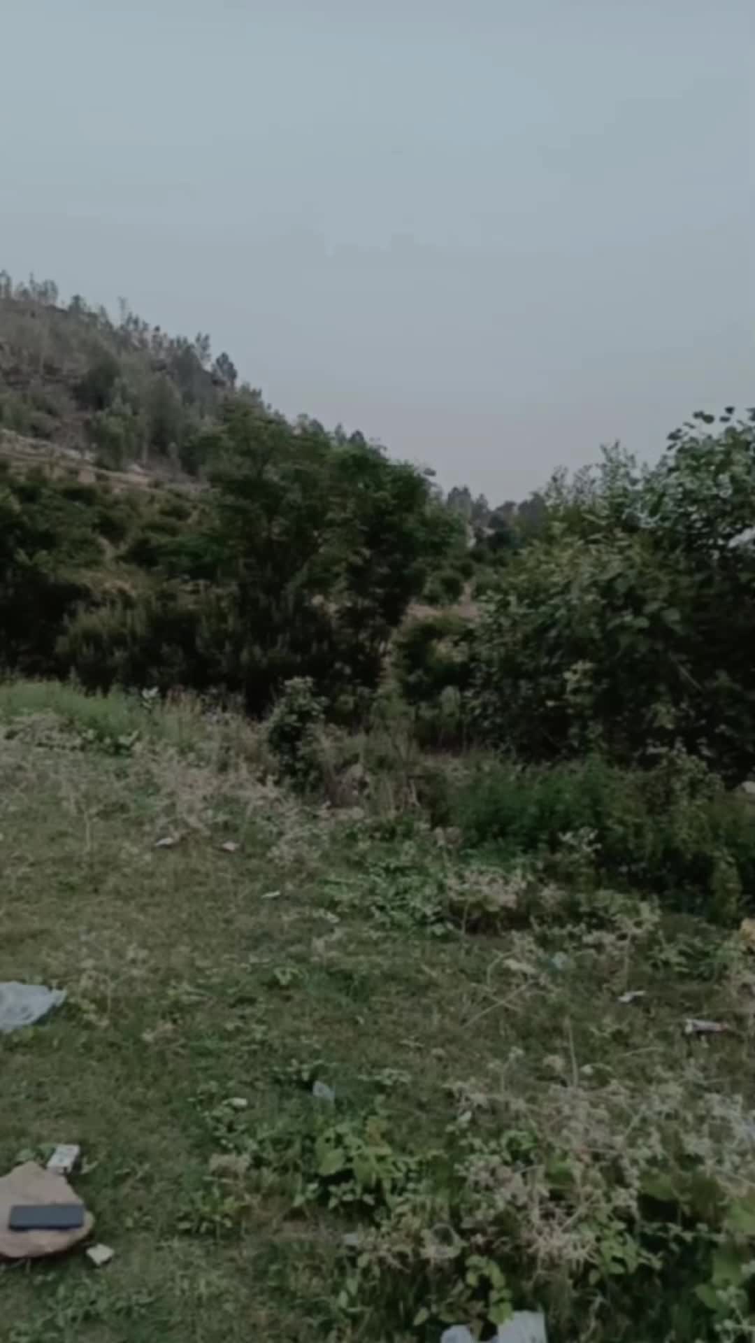 @🍂🇮🇷 درویش 𝟑𝟑𝟑 🍁