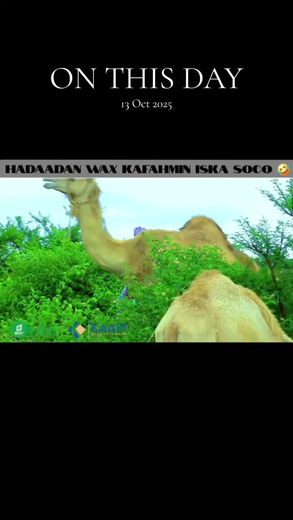 @CIISE GALMUDUGTV🇩🇯JAXAF.JXAF