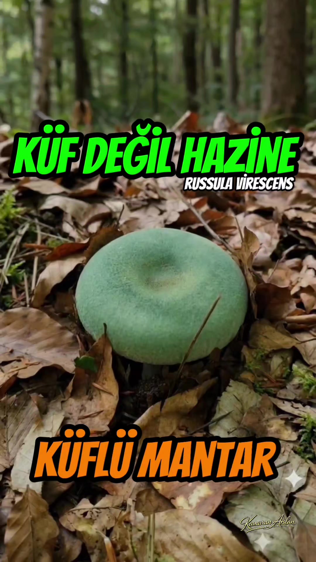 @Kamuran Arslan