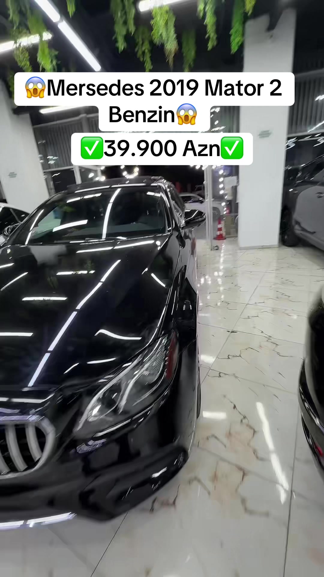 @Elim yandi auto Babek✅