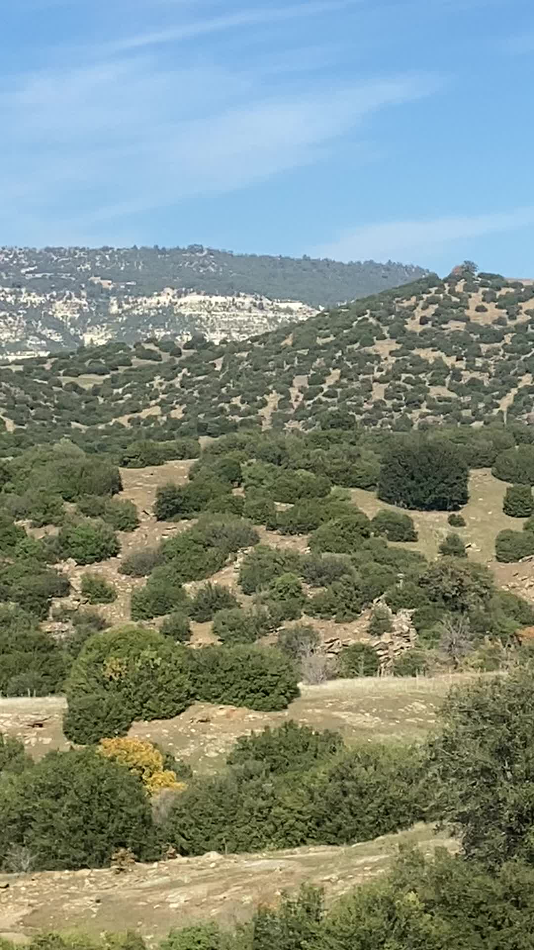 @Ümran ARDA