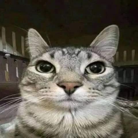 @𝘼𝙡𝙚