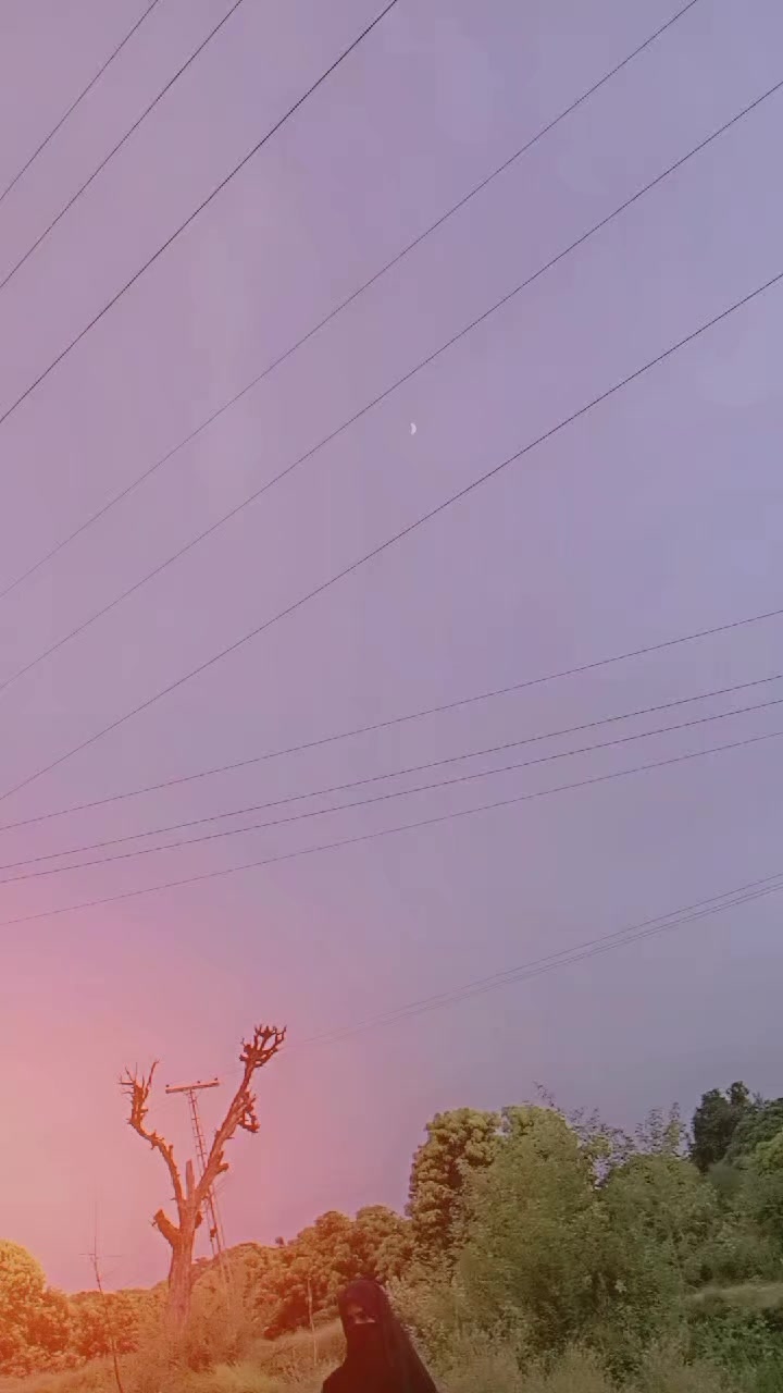 @محترمہ🌸