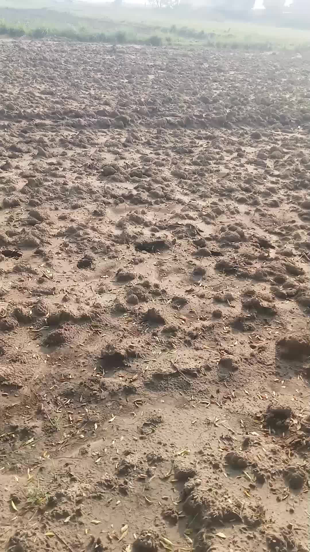 @mawan irfan🇵🇰