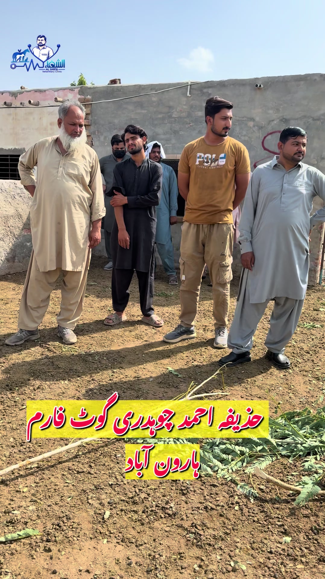 @Dr.Mohsin