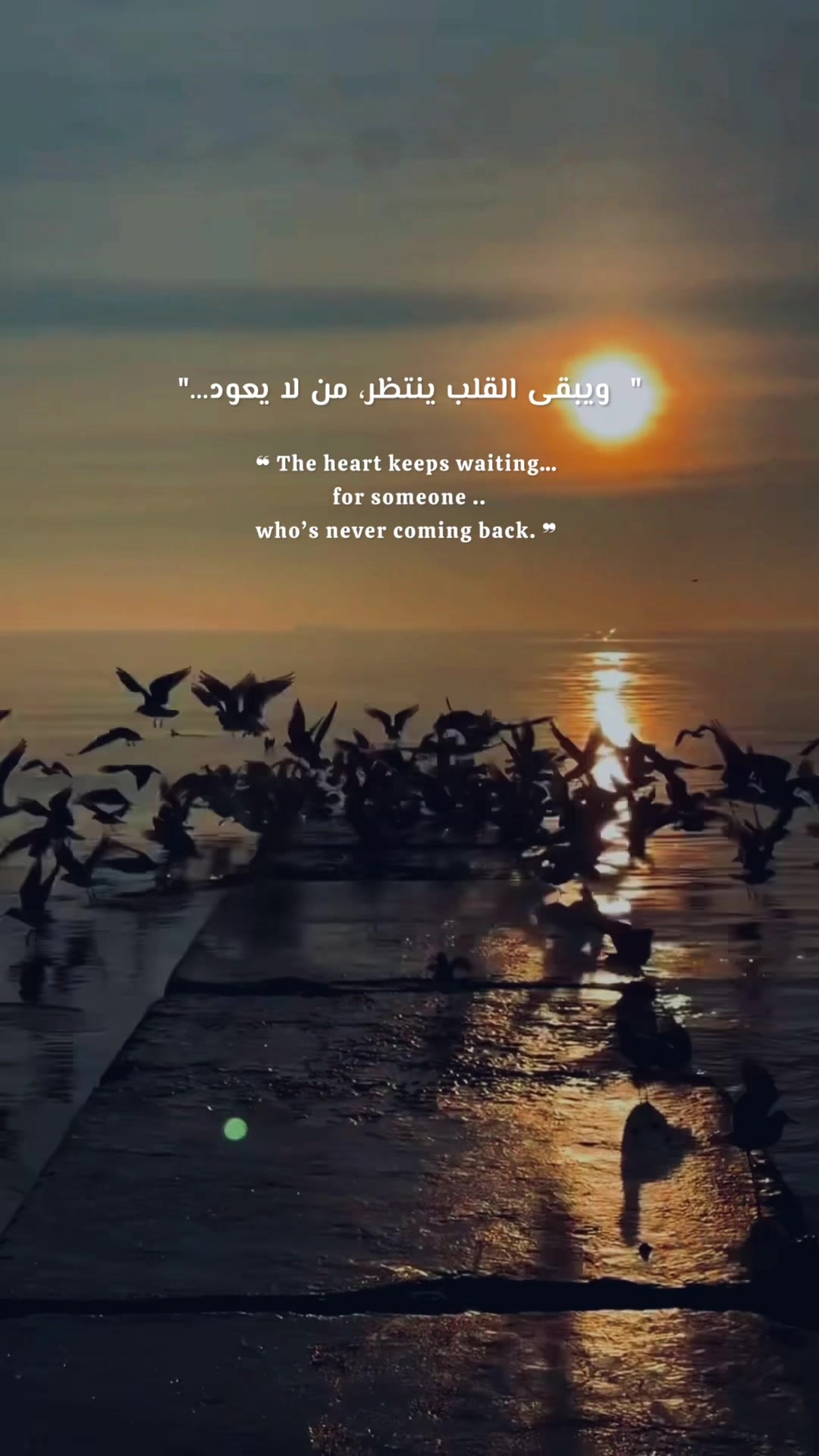 @᷂وللحلم ᷂بقيه ♥️