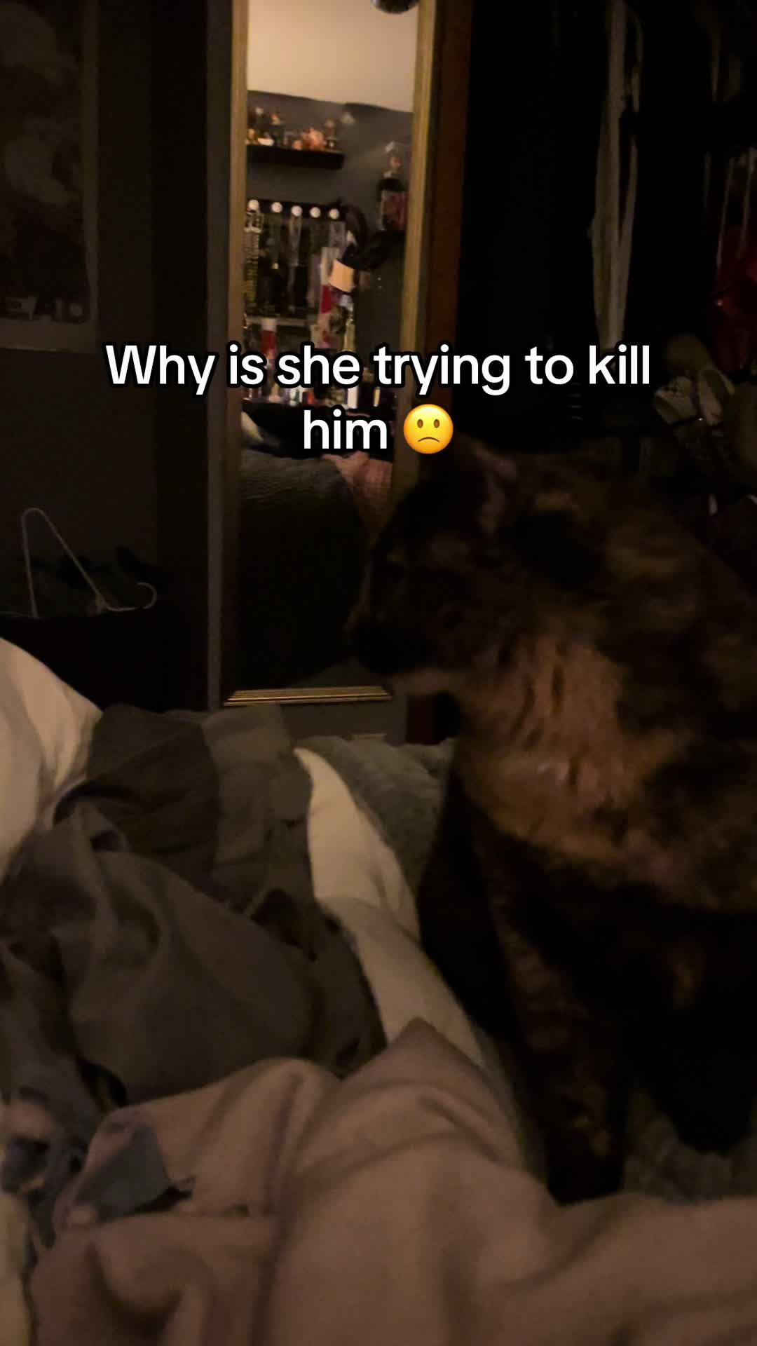 @Jamie5000