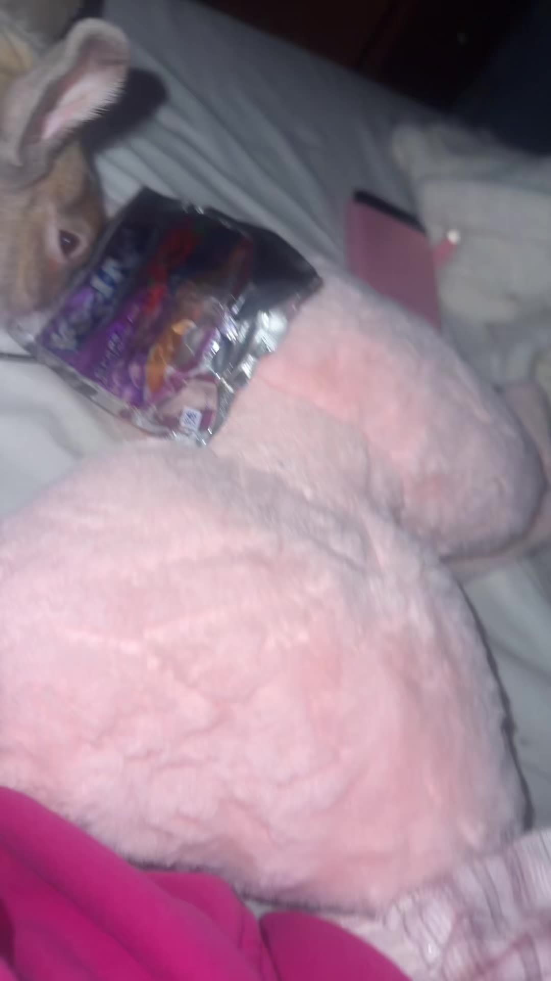 @playboicarti