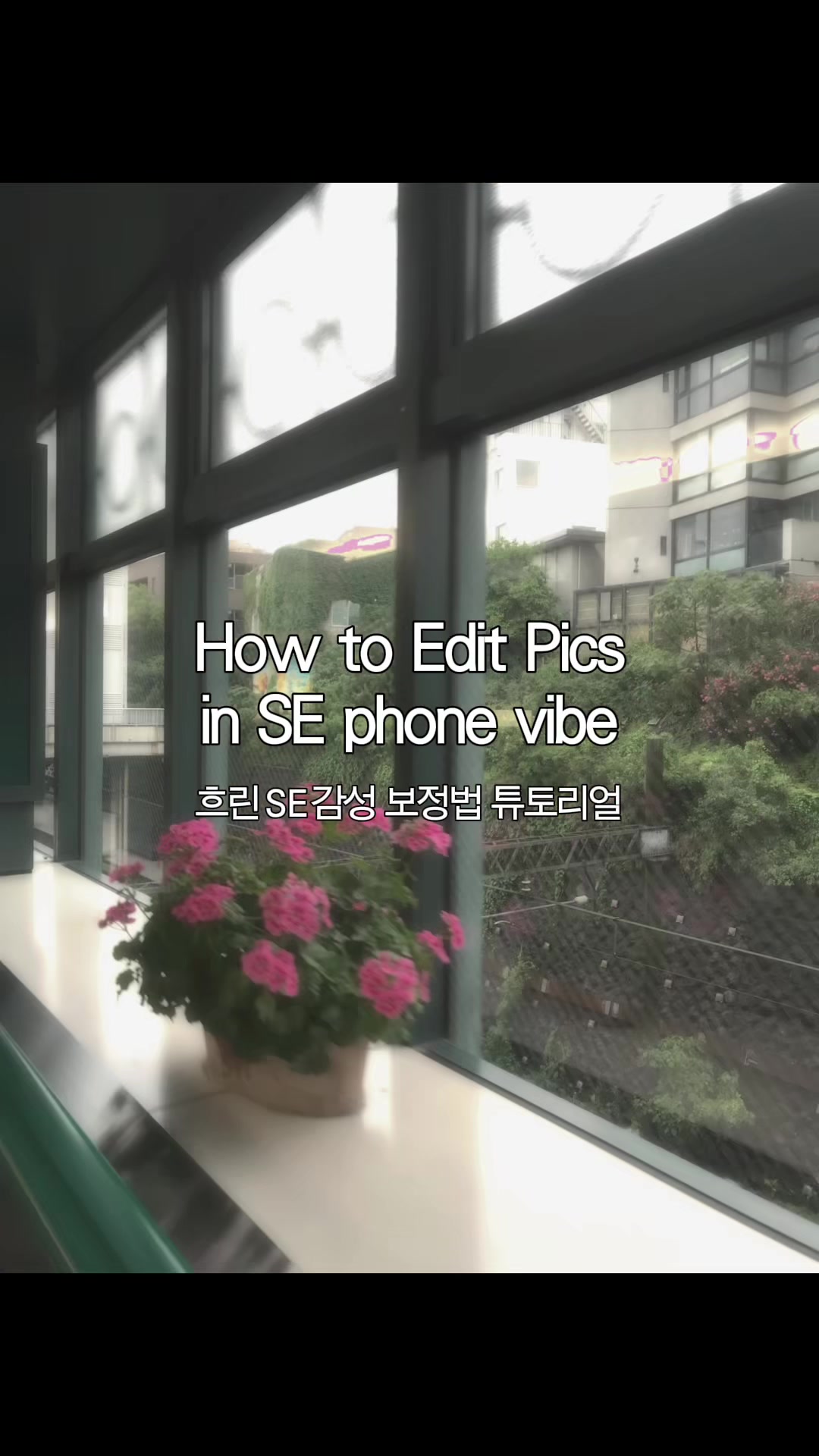 @베리 ベリ🪄