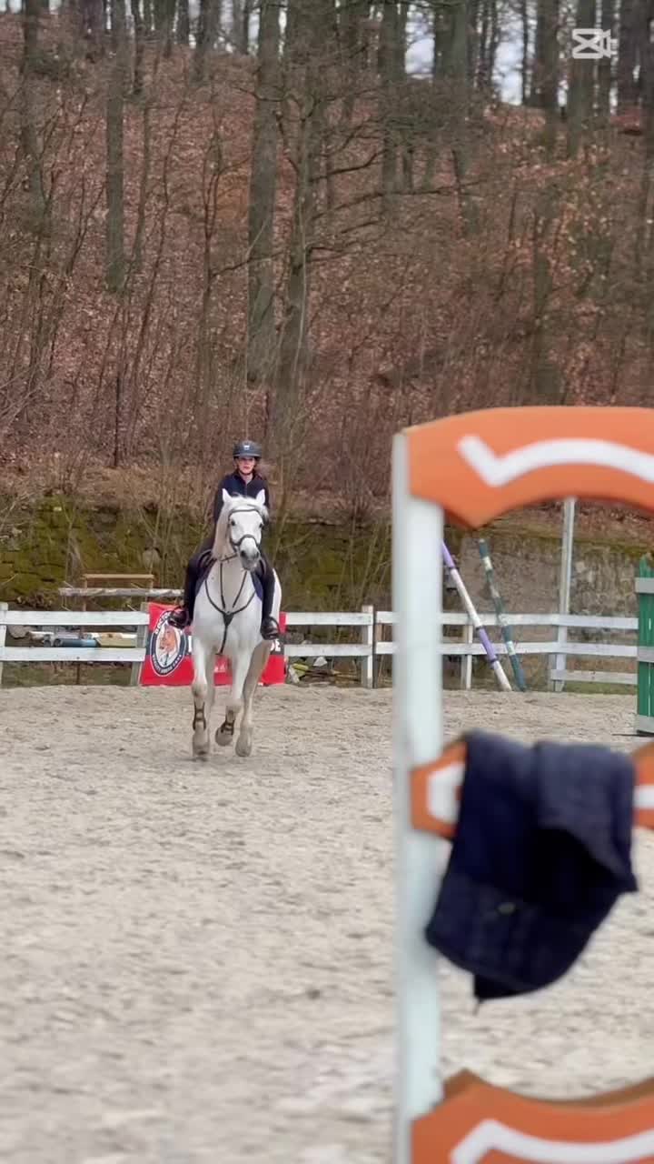 @🐴💗TA OD BELLI I ARY💗🐴
