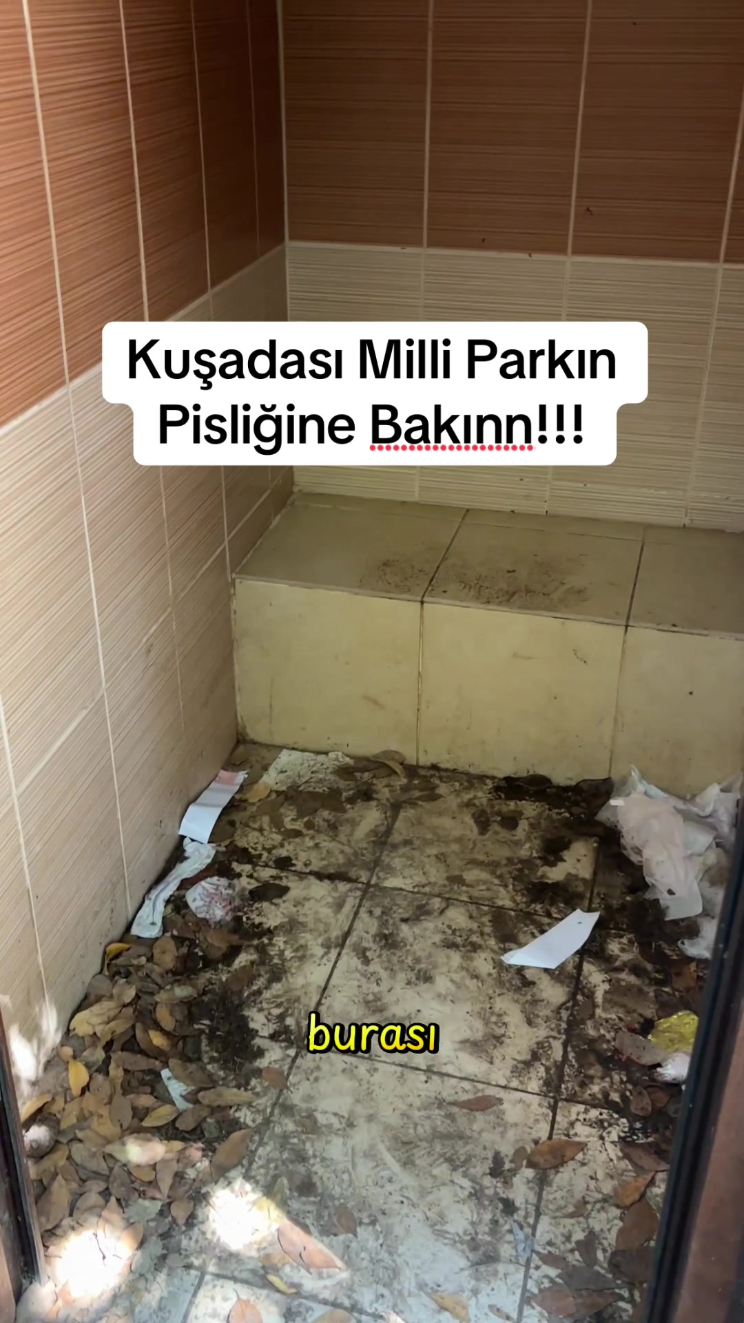 @sosyal_kelebek20