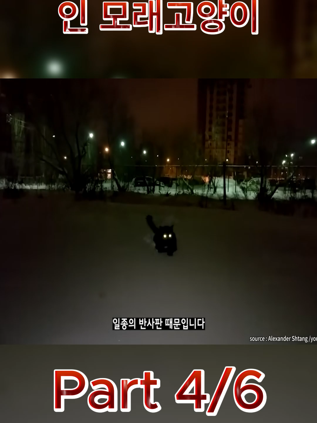 @몽구로운 지식