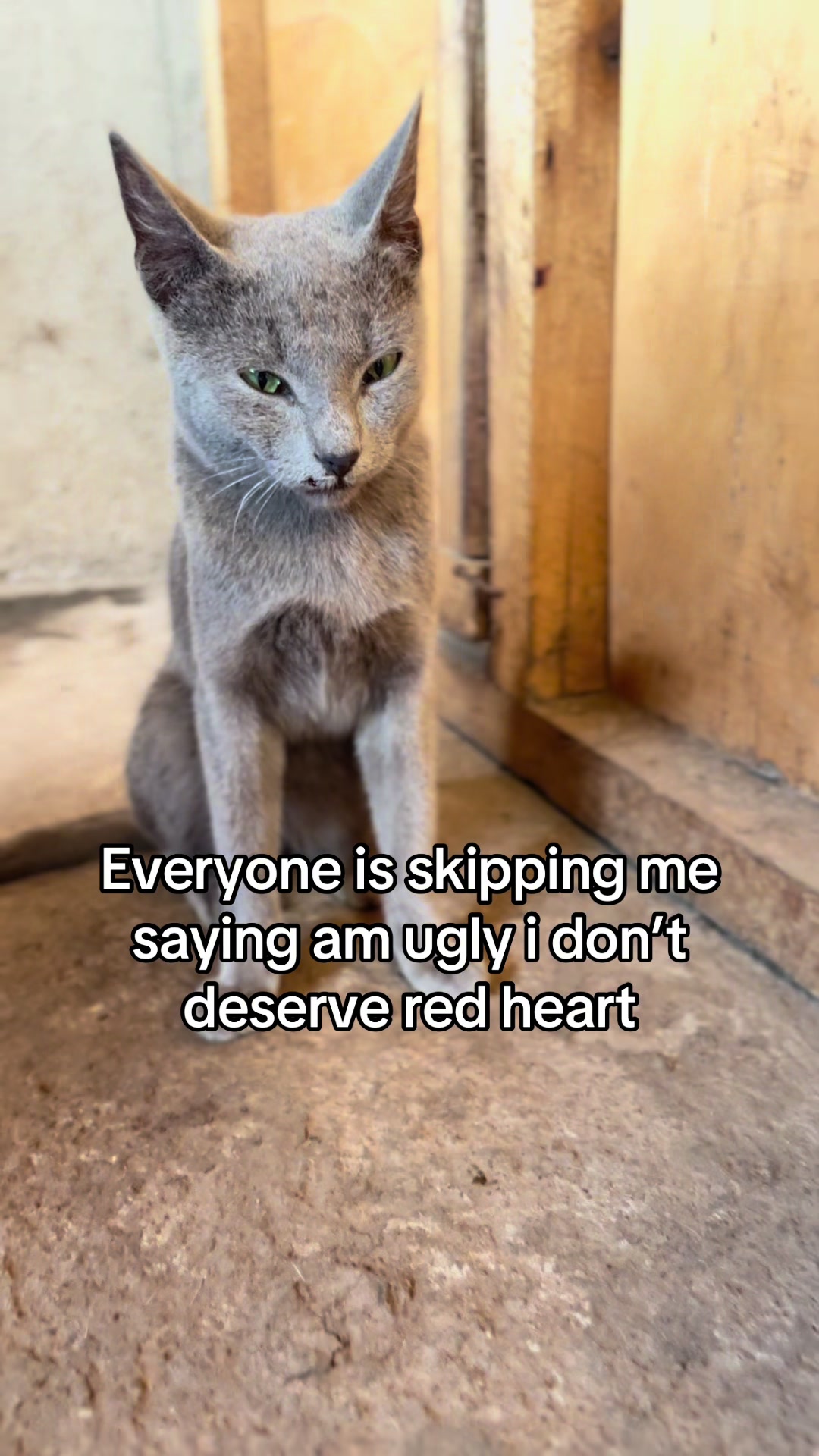 @D strays