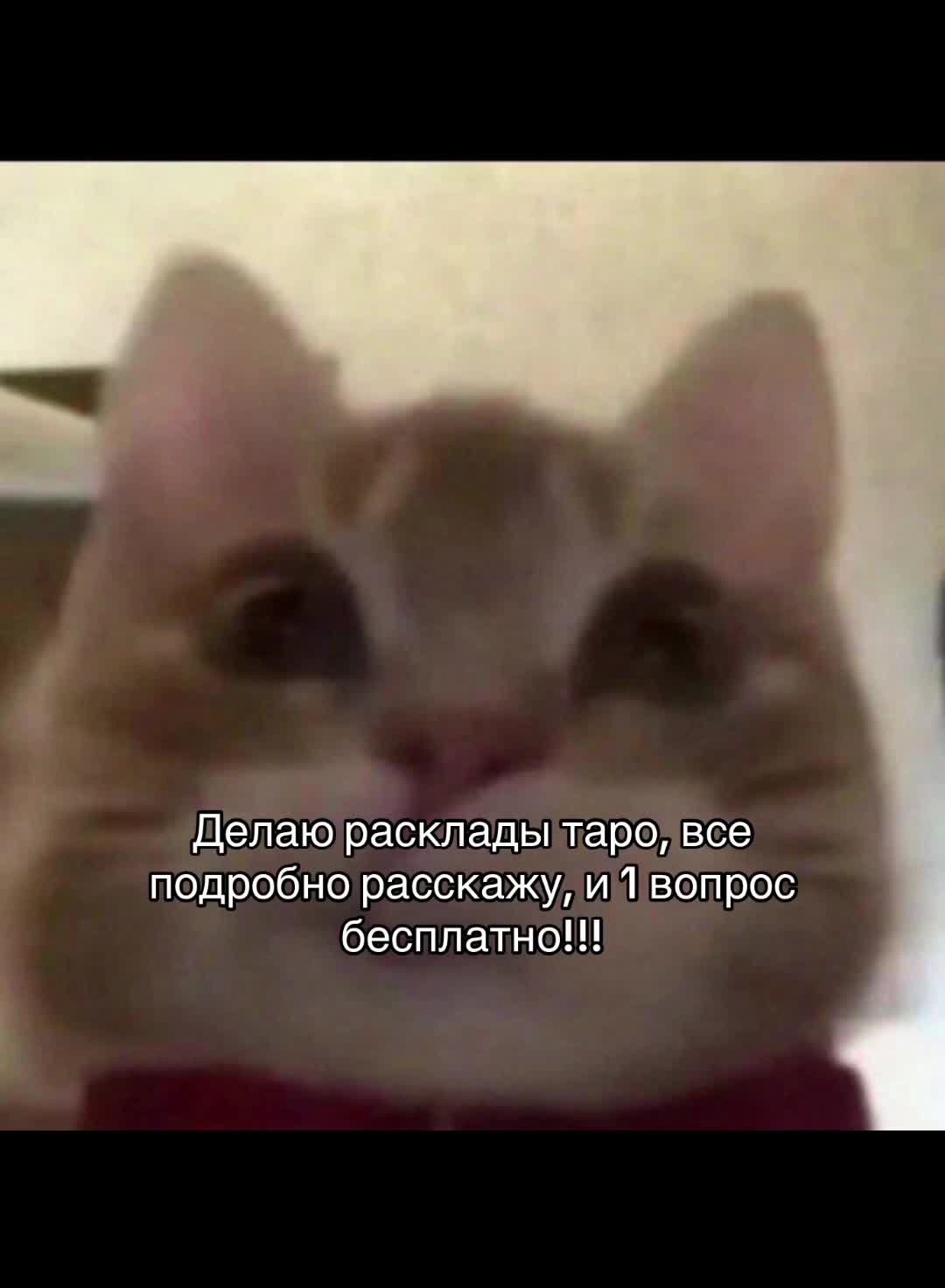 @Анна Таролог🤍