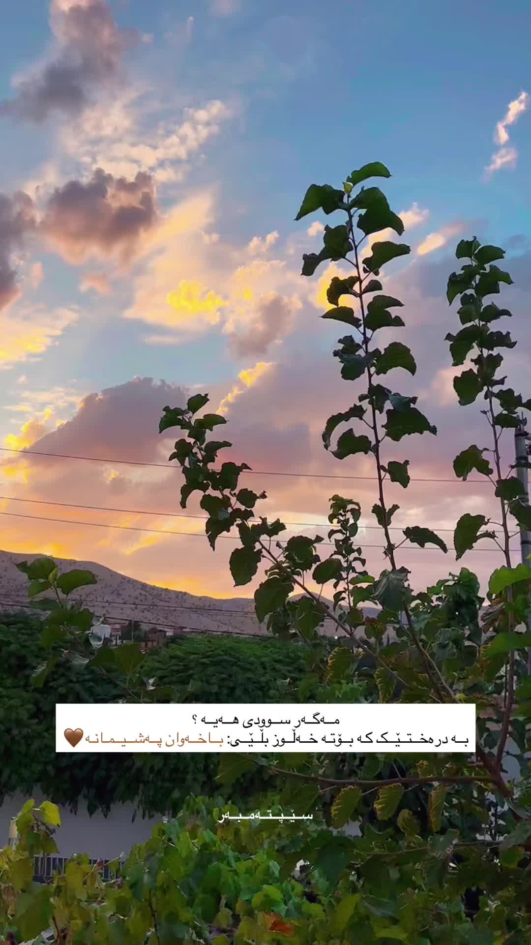 @⠀∝ . ℓ
