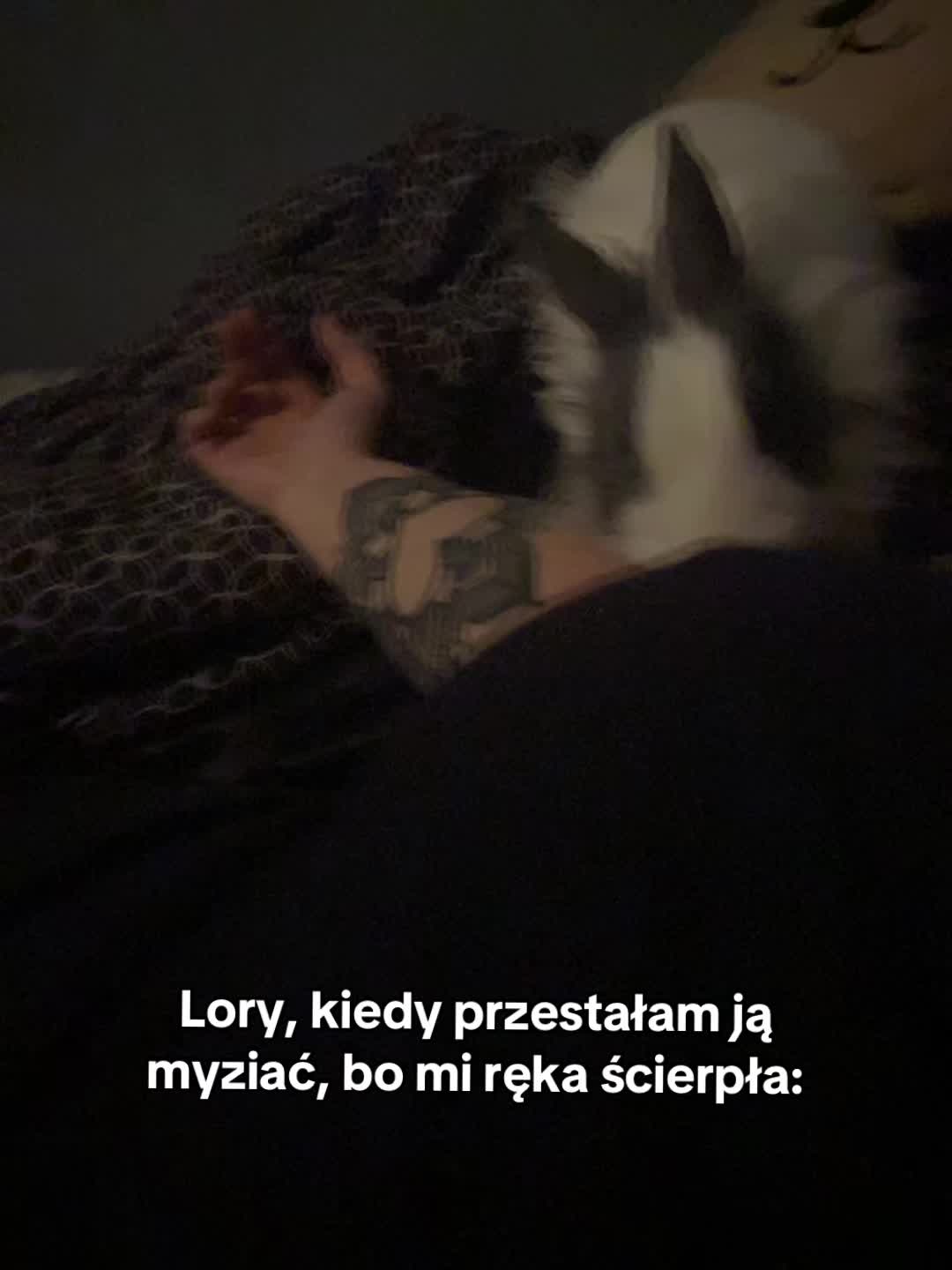 @imponderabilia 🦋✨💫