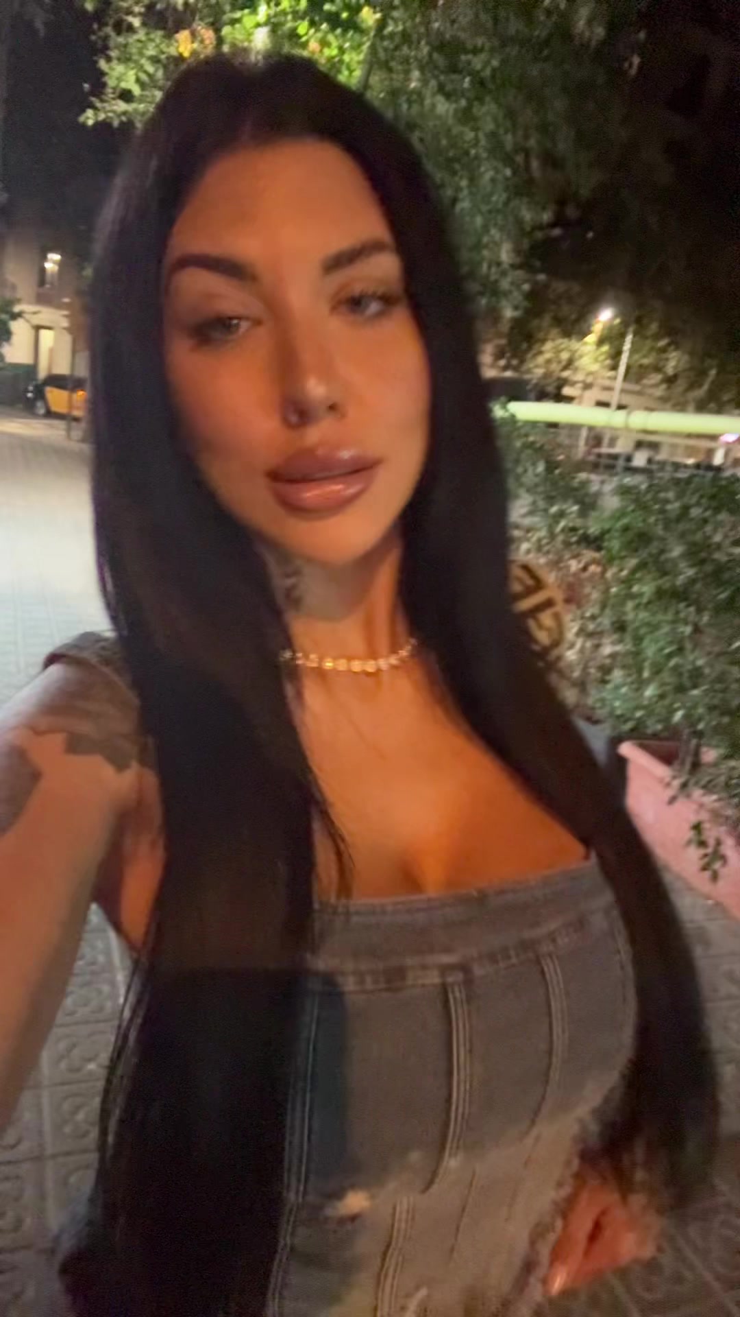 @GAIA🦇