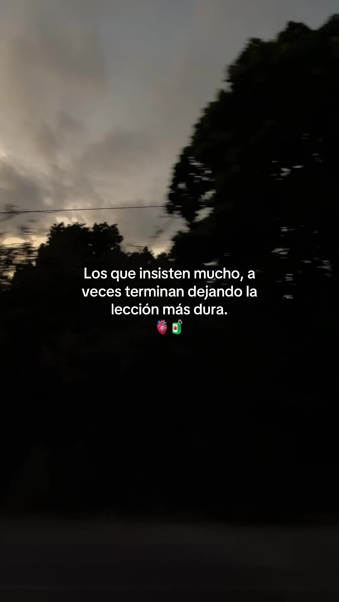 @Gatocix 🐱