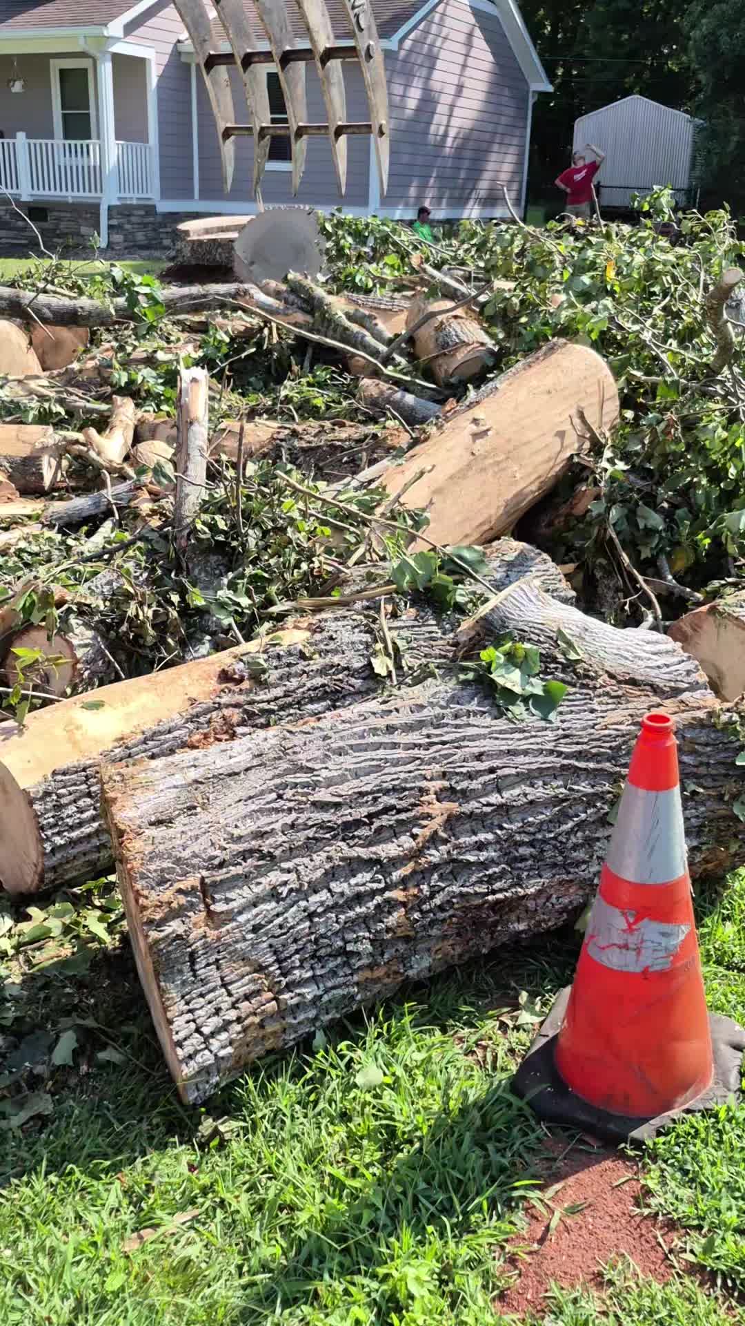 @R&G tree and landscaping