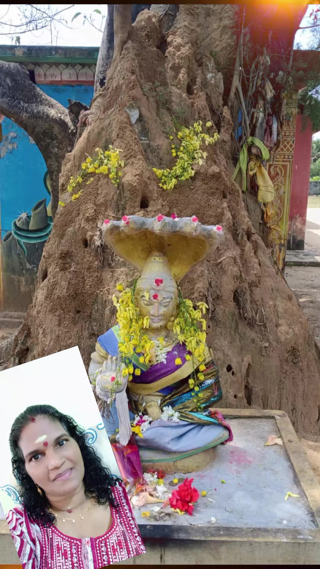 @vijaya laxmi