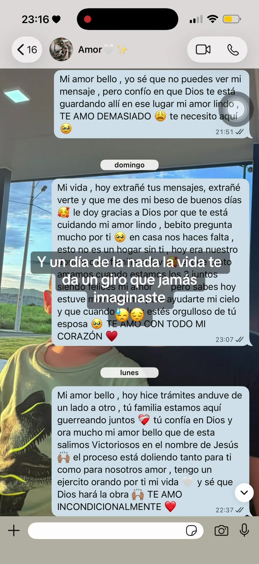 @sele150921🥷🏻