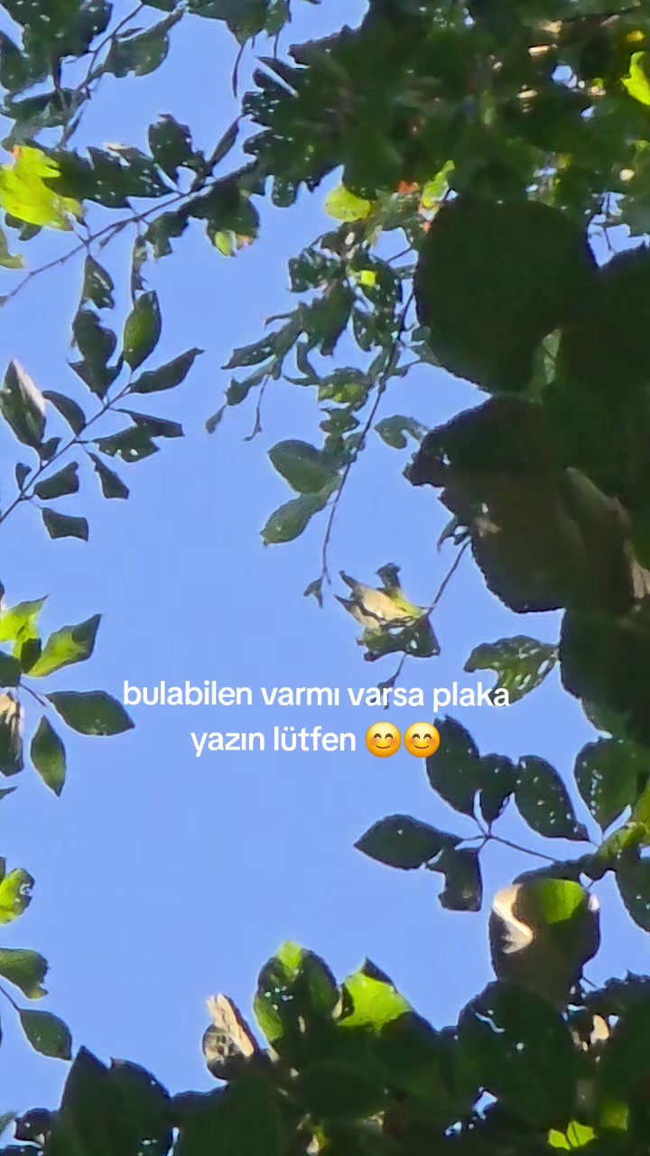 @kule ARİF 55