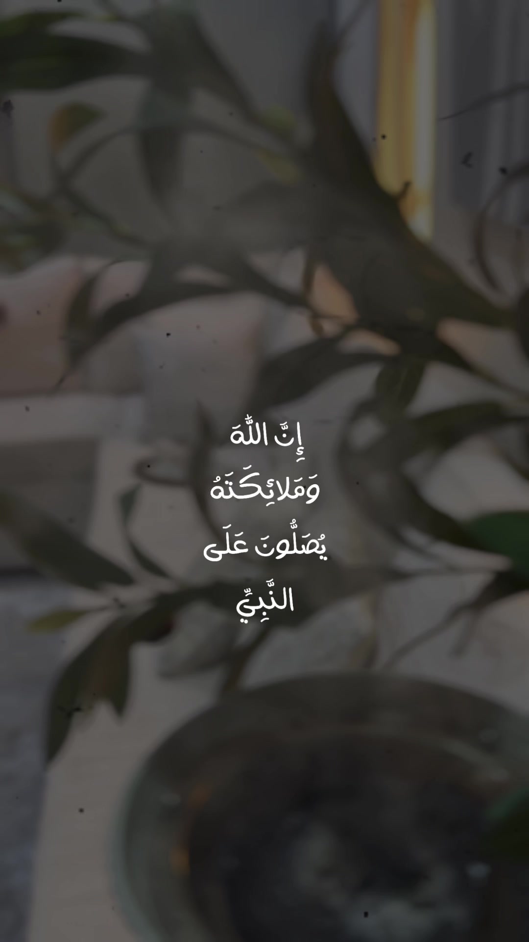 @..HAYA..