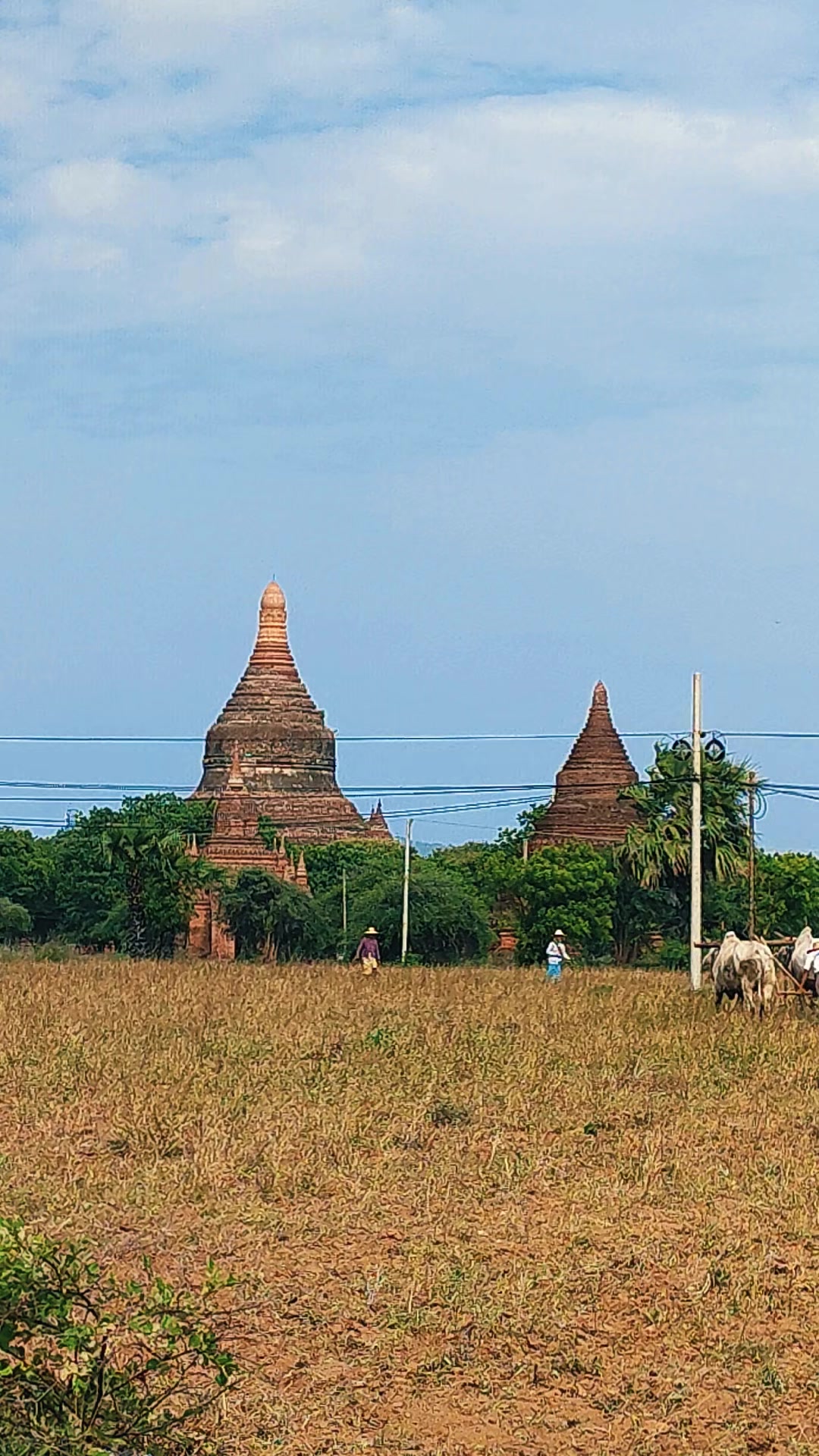 @Bagan Kyaw Zin Thant