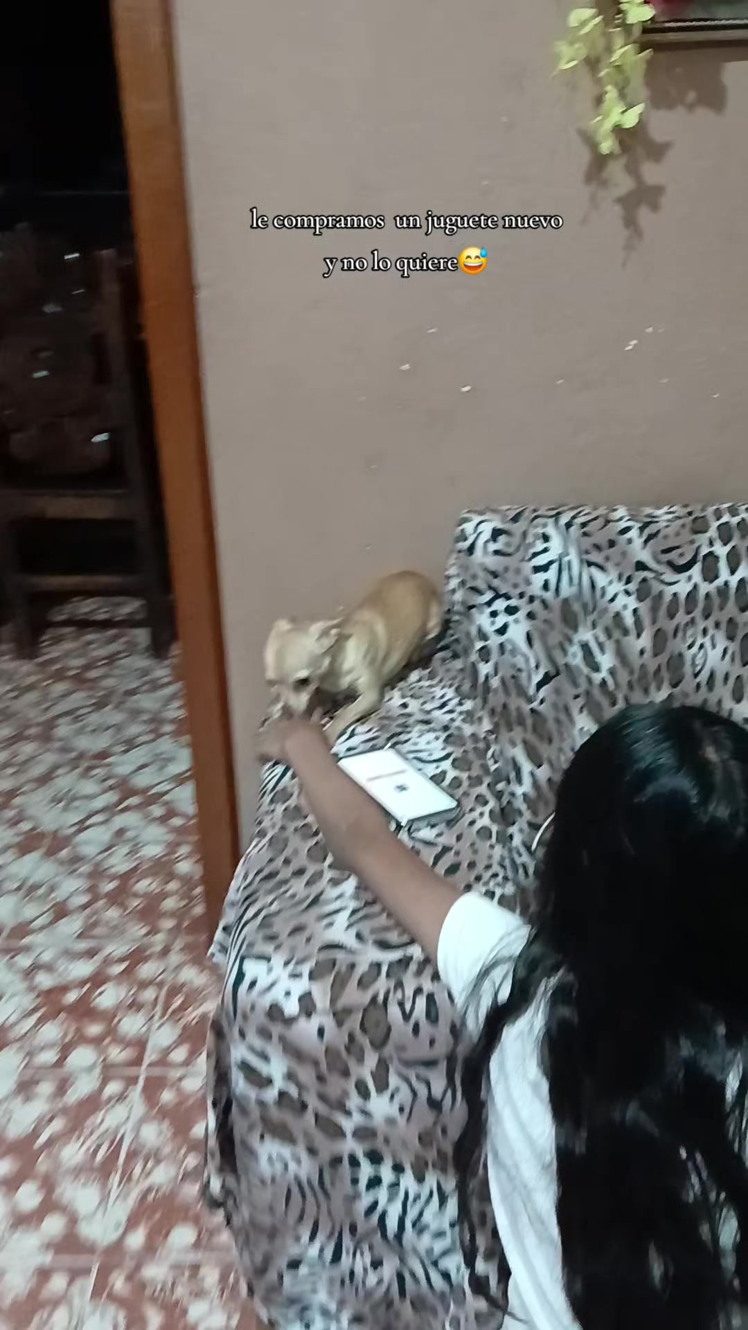 @MR