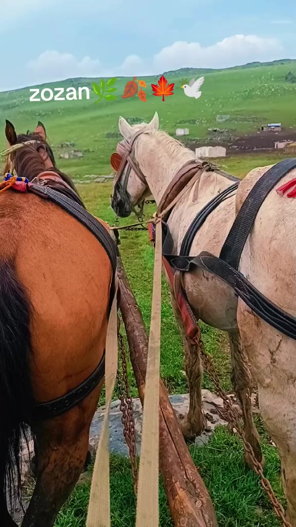 @G&ouml;kcan Sara&ccedil;oğlu