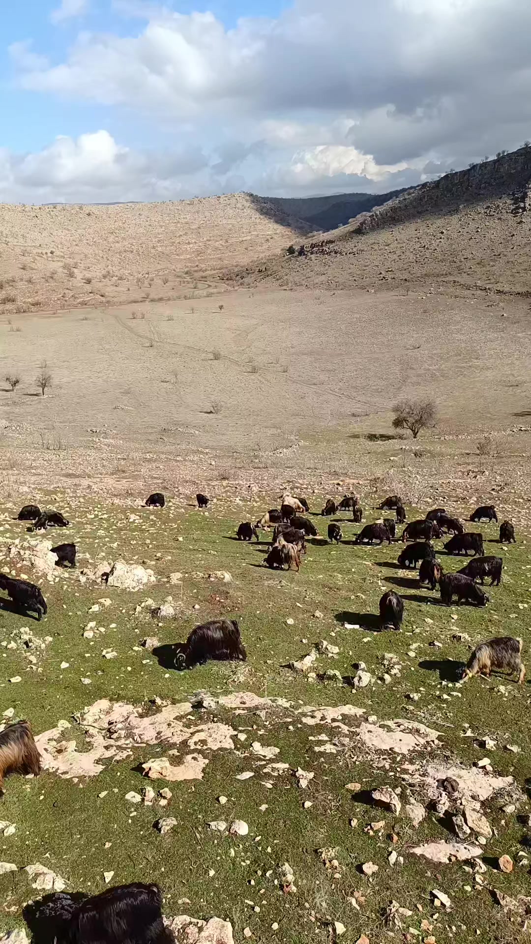@Abdurrahim gül
