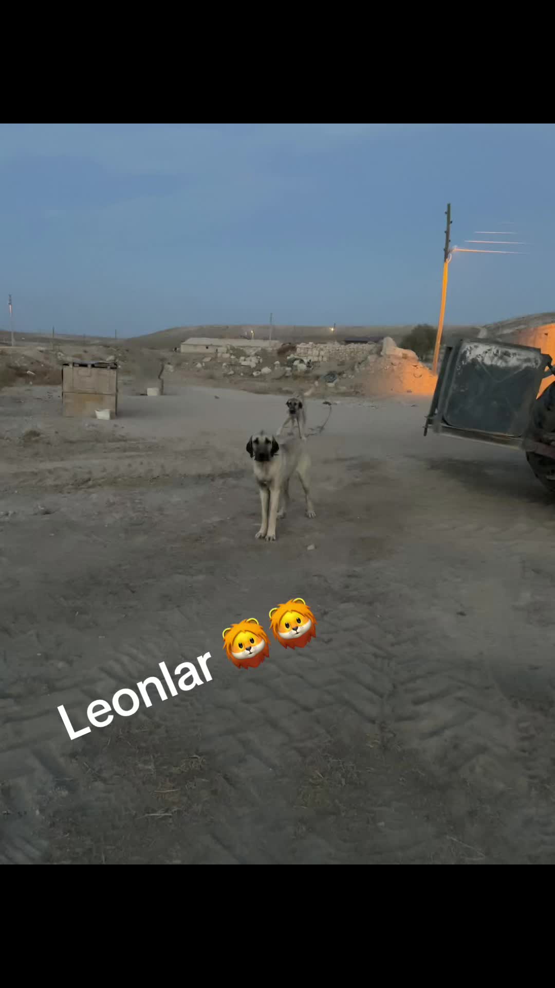 @Mert döleker
