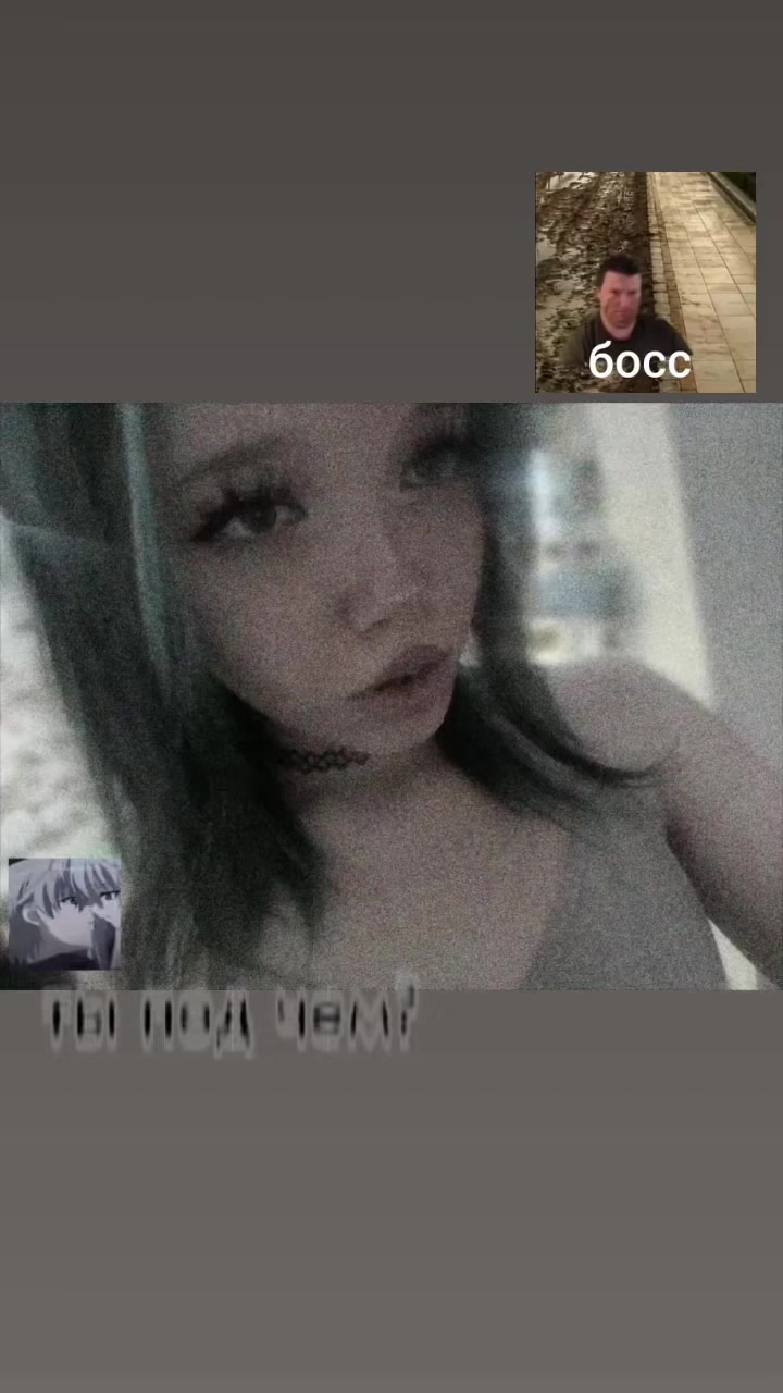 @дохлая шайни