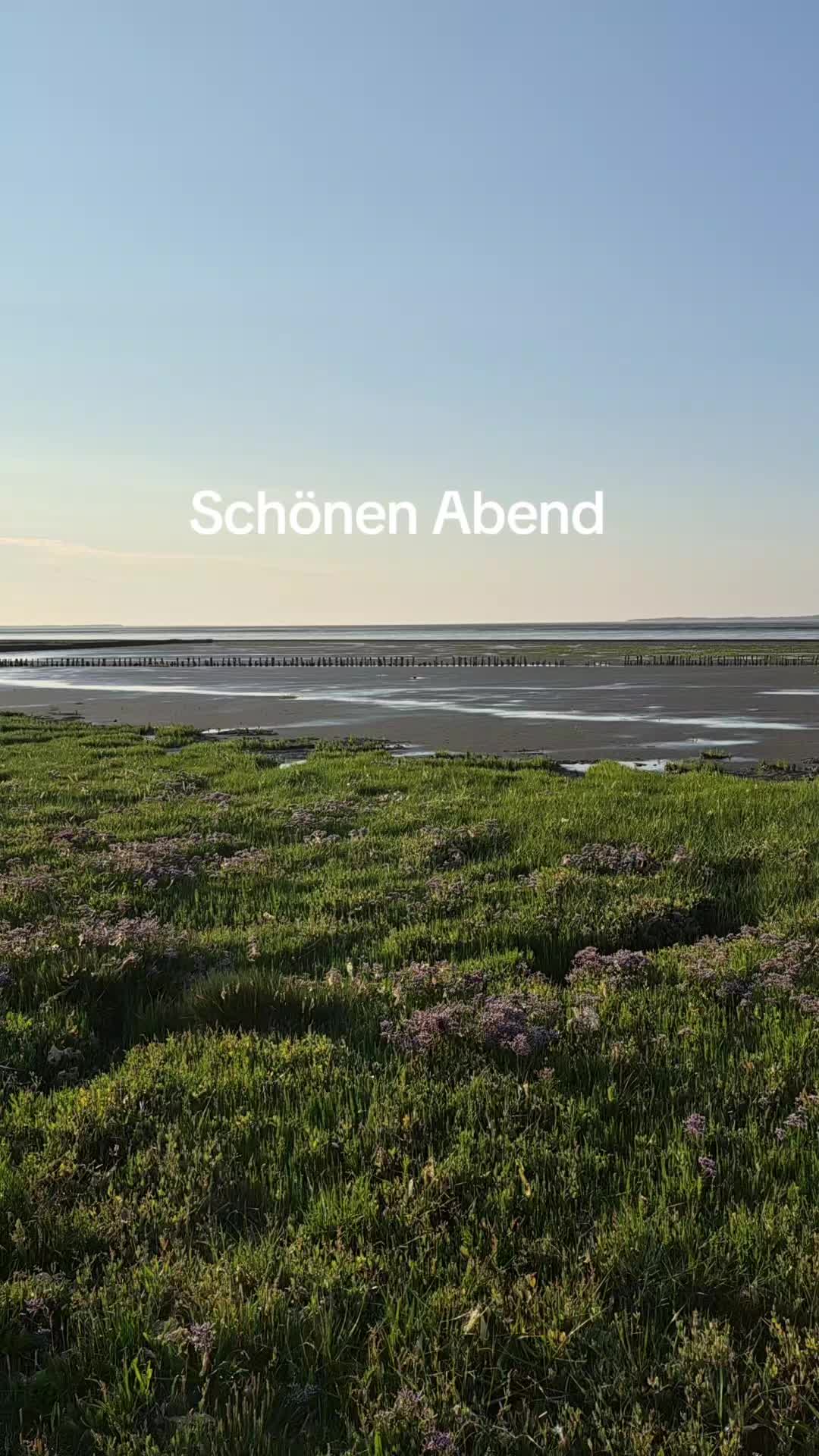 @Alexandra Neumann