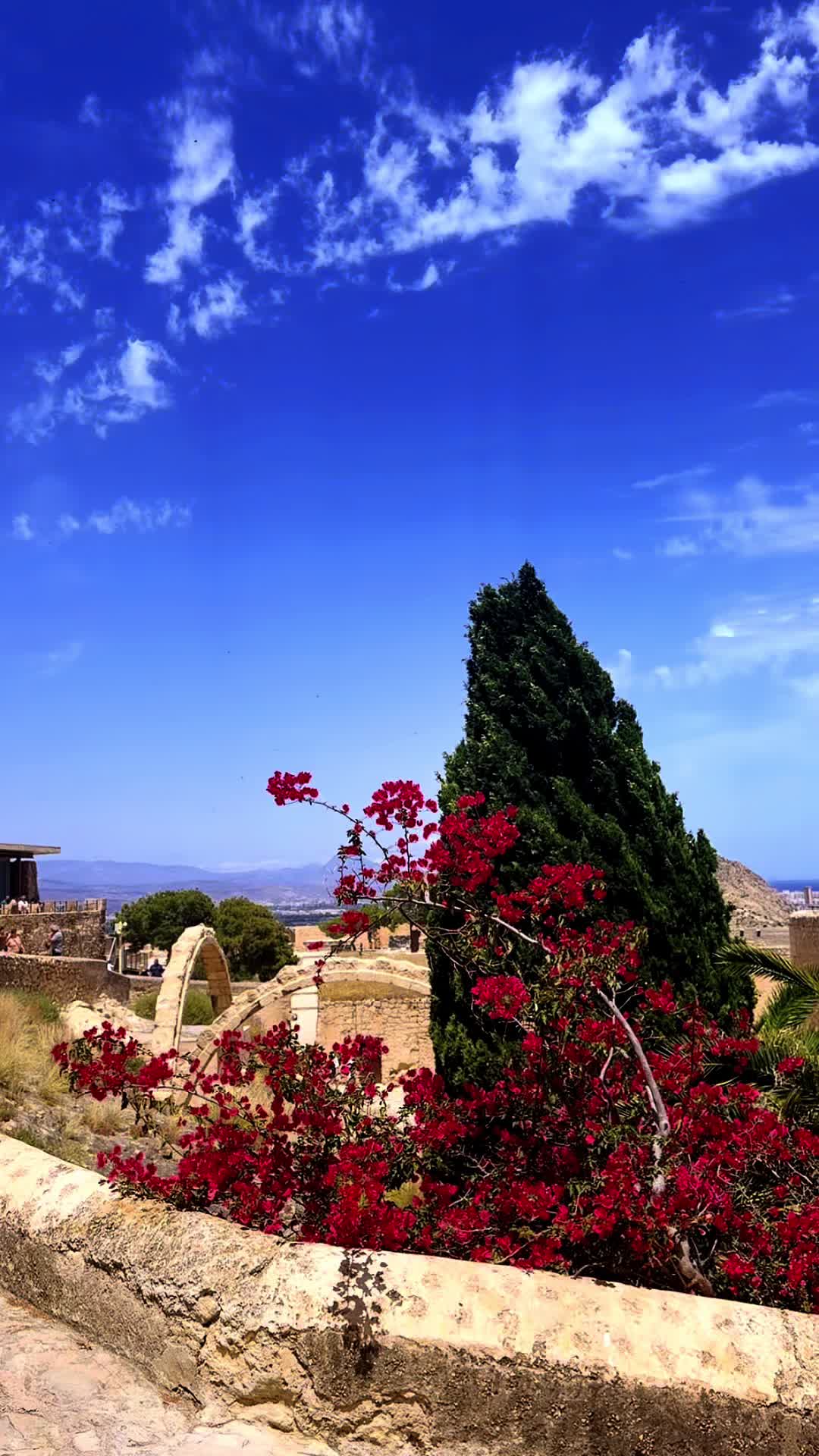@🚗 Rent a Car | ✈️ Travel🇪🇸