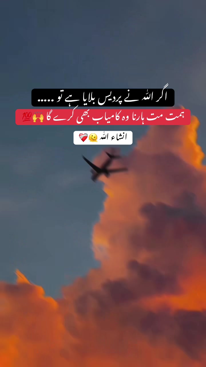 @❀࿐𝐏𝐮𝐫باش ♛