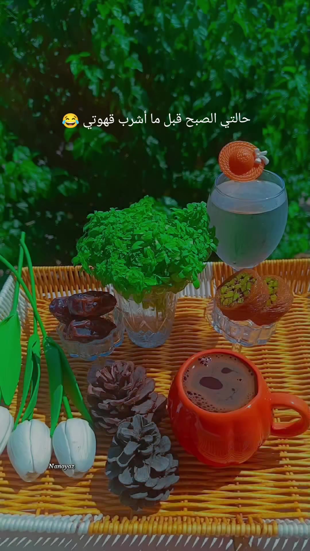 @☺️🌷زهرة حلب 🌷☺️