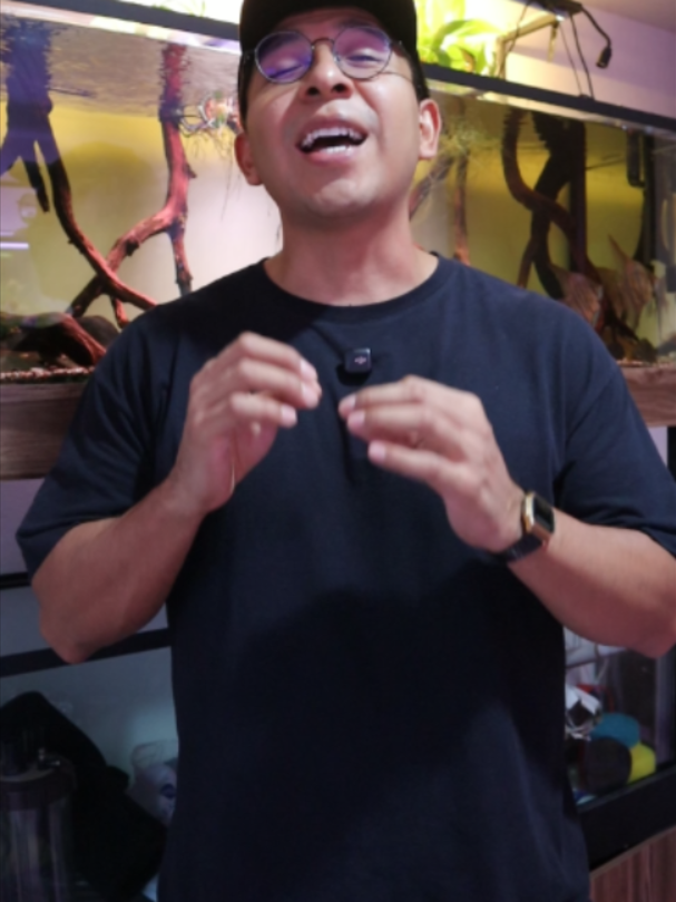 @Acuarios de Tehuac&aacute;n