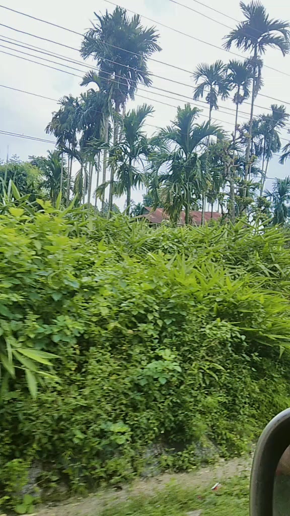 @(माइली)Sita