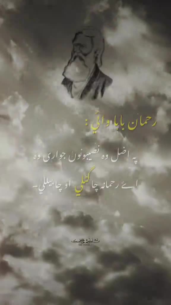 @SADAM TAWANI