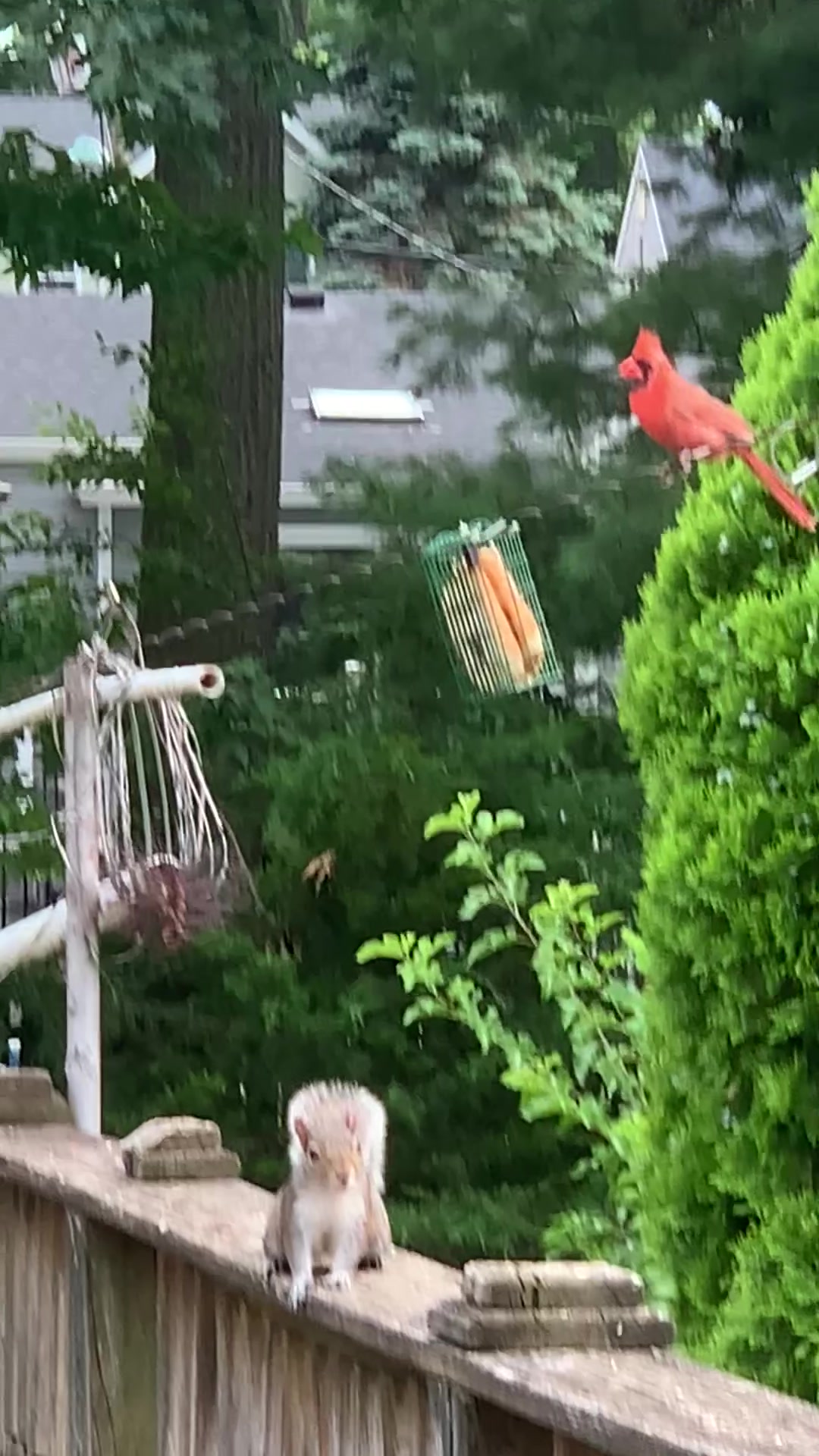 @❌philkoby❌