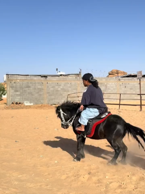 @Horses TikTok
