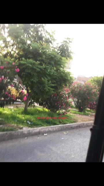 @DOSCEROCERO3