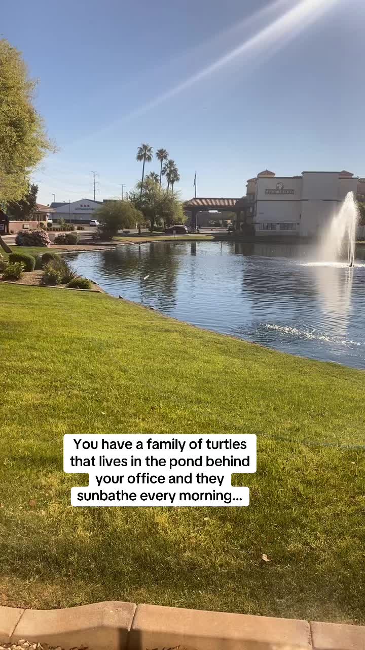 @Sam 🖤