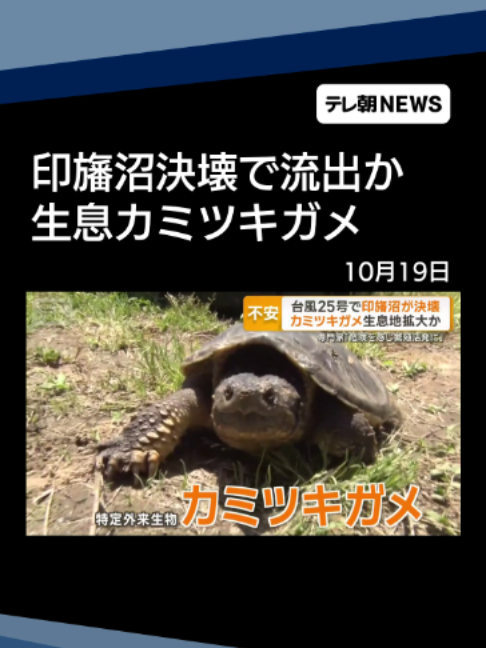 @テレ朝NEWS【公式】